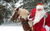 Загородная прогулка на санях в упряжке с лошадью с Дедом Морозом и Снегурочкой по лесу 1ч 29.дек
