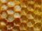 100% Пчелиное молочко – цена молодости и здоровья!